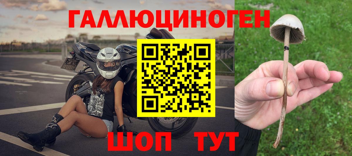Еманжелинск  как найти   Вход с VPN  Галлюциногенные грибы мицелий 